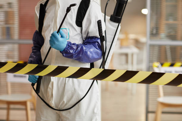 Professional Sewage Cleanup technician working in Minden, IA